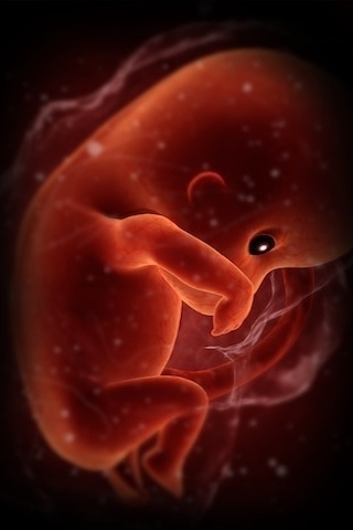 ��̾������ҽѧ3D������ͼ ����ͼƬ