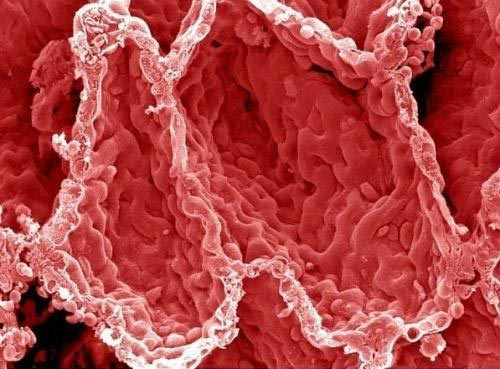 ���δ������������ͼƬ  ����ϸ��ͼ