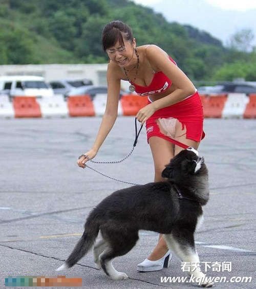 �������󵨵�ɫ������Ĺ����ֵ��ڷ���Ů��