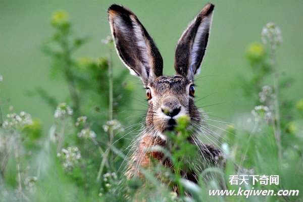 ʵ�Ķ�����Ȥ˲�䣬�ȷ���