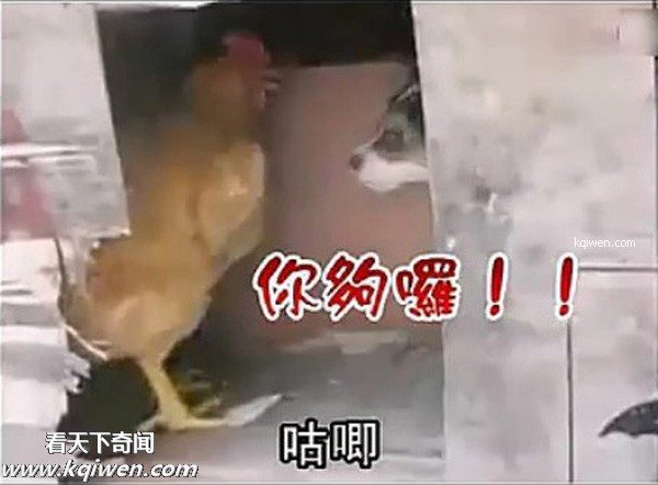 ��ɫС�������컯�����Ｆ(��ͼ)